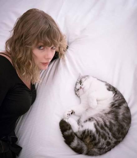 霉霉 泰勒斯威夫特 新专辑《Reputation》发售引发疯抢 大量美图