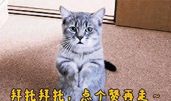 向太陈岚年轻美照流出，身材外貌不输关之琳，难怪向华强这么爱她