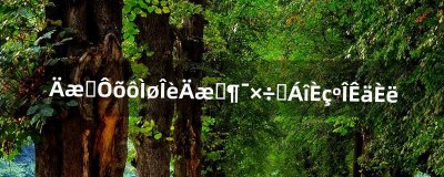 ​逆战怎么跳舞逆战动作指令如何输入（逆战游戏怎么添加动作)