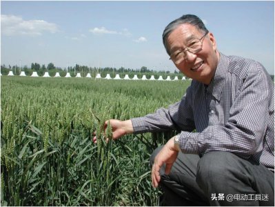 ​“杂交小麦之父”李振声：曾经让小麦产量超越水稻，90岁仍在田里