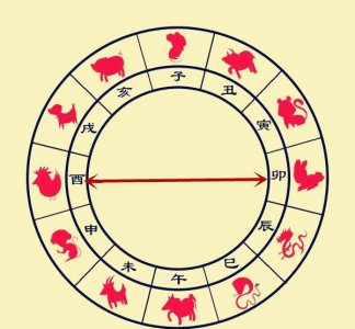 ​详解八字中地支相冲的表现形式