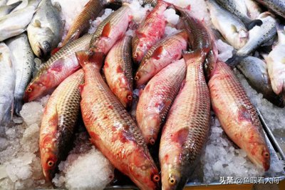 ​海鲜市场适合普通市民的海鲜 鲜梭鱼15元一斤 买年货的好去处