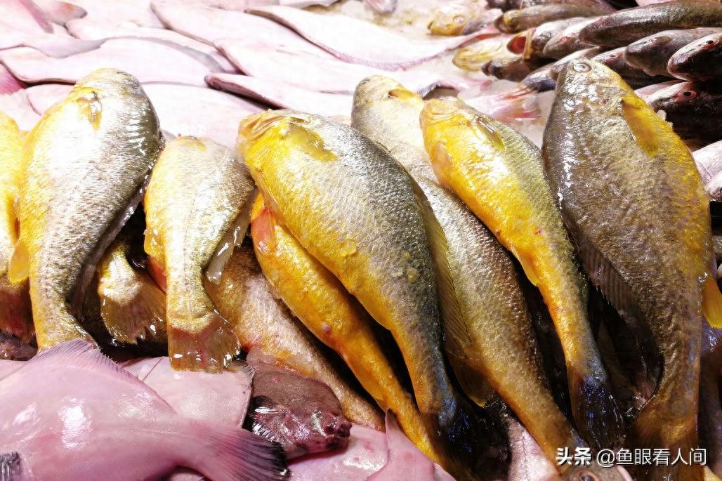 海鲜市场适合普通市民的海鲜 鲜梭鱼15元一斤 买年货的好去处