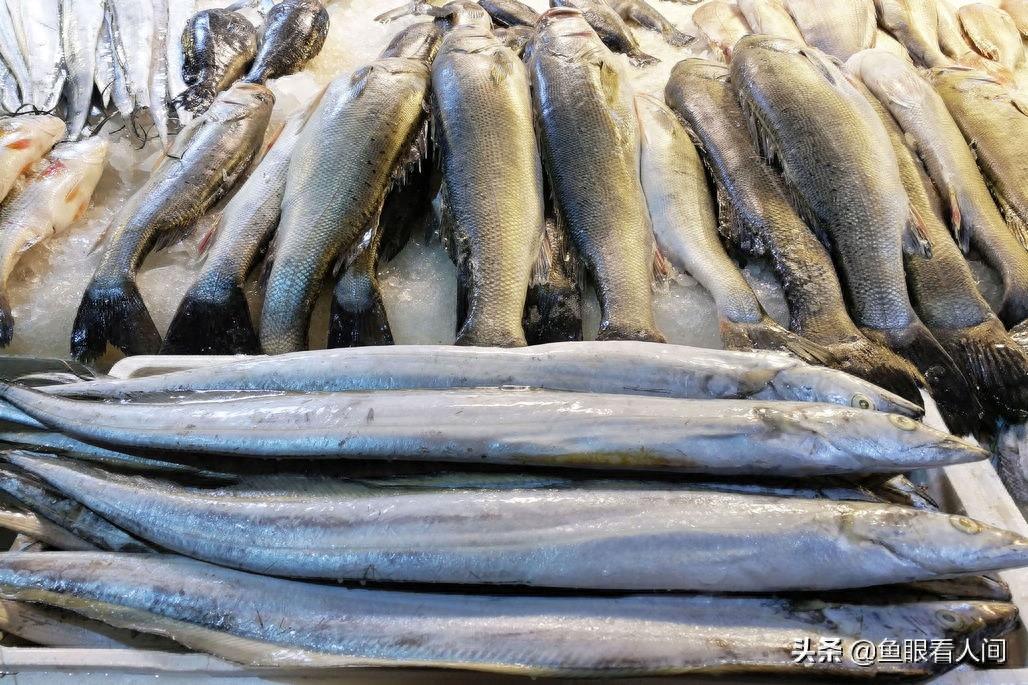 海鲜市场适合普通市民的海鲜 鲜梭鱼15元一斤 买年货的好去处