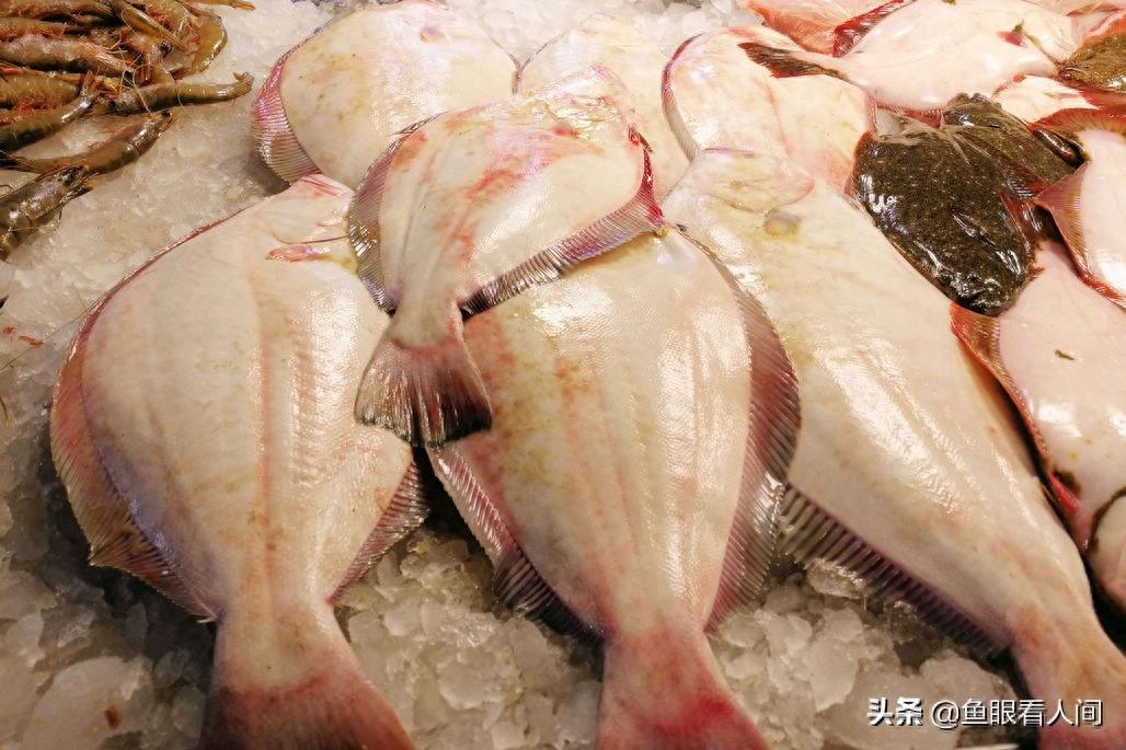 海鲜市场适合普通市民的海鲜 鲜梭鱼15元一斤 买年货的好去处