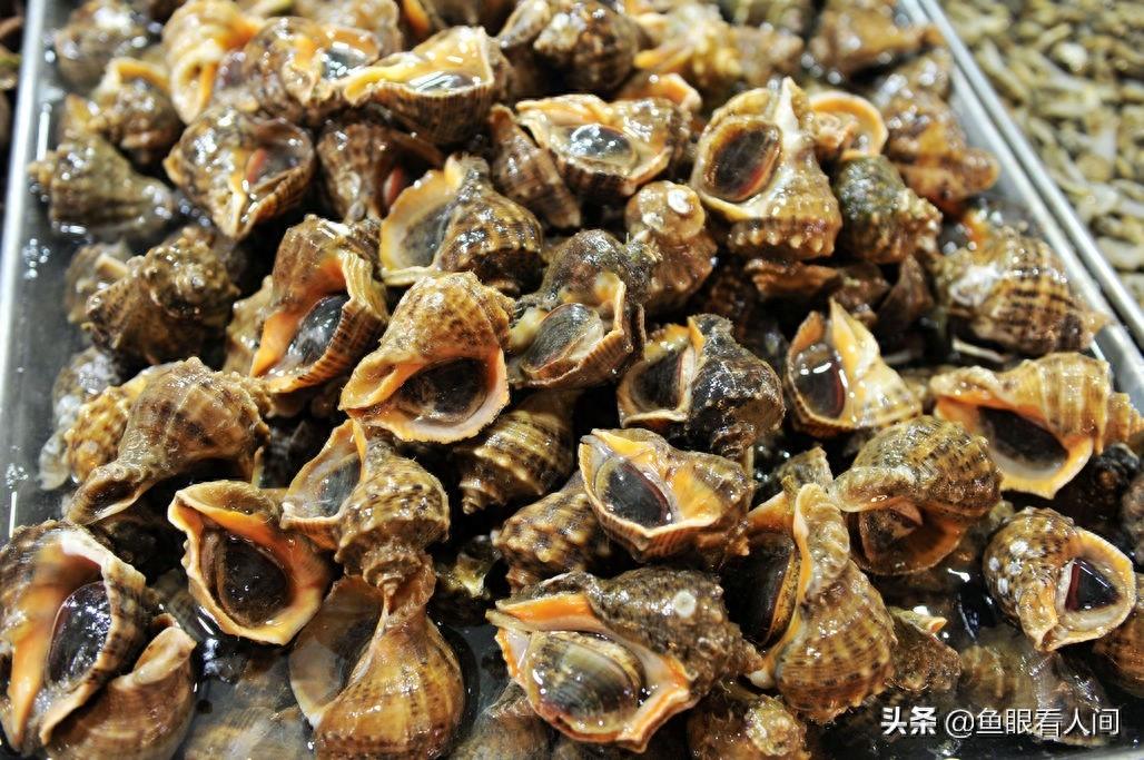 海鲜市场适合普通市民的海鲜 鲜梭鱼15元一斤 买年货的好去处