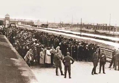 ​一个瘦弱女孩跑出来捡吃的东西，被纳粹一枪打倒，血从脸上淌下来