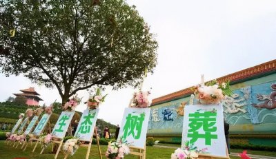 ​你了解花葬、树葬吗？