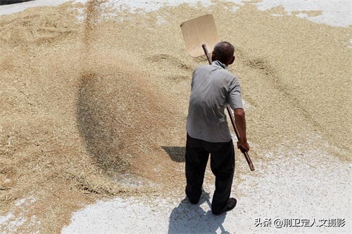 10张农村老父亲图片，看是辛苦还是心酸