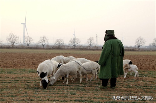 10张农村老父亲图片，看是辛苦还是心酸