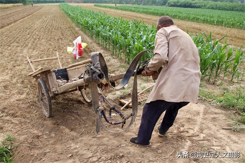 10张农村老父亲图片，看是辛苦还是心酸
