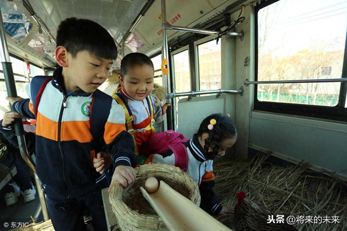 天津街头公交现“养鸡专车”，为提倡绿色出行免费送“1蛋”