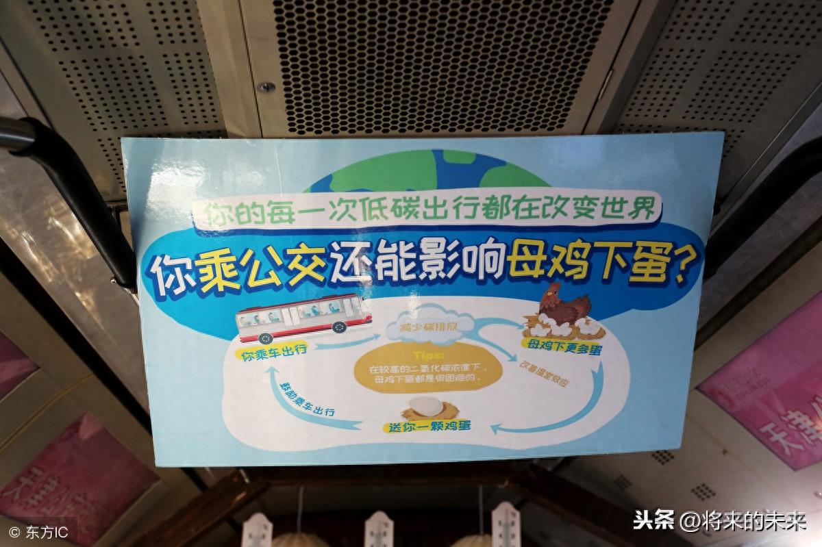 天津街头公交现“养鸡专车”，为提倡绿色出行免费送“1蛋”