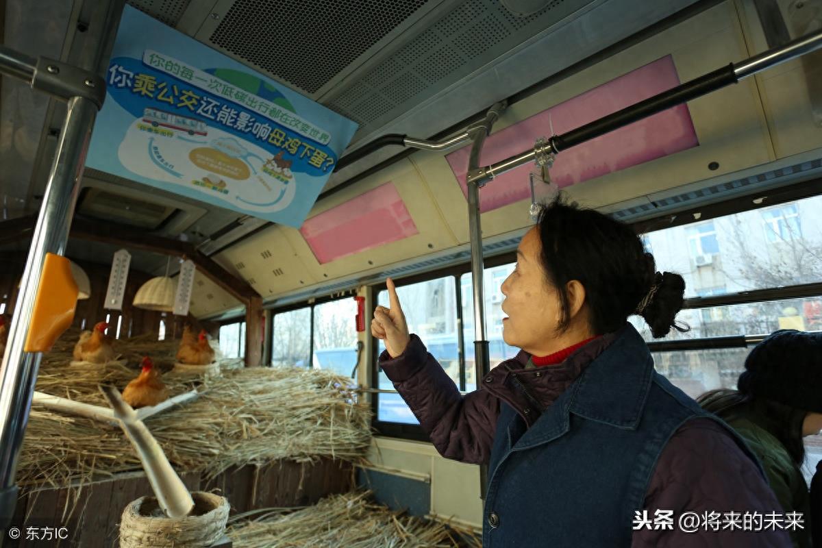 天津街头公交现“养鸡专车”，为提倡绿色出行免费送“1蛋”