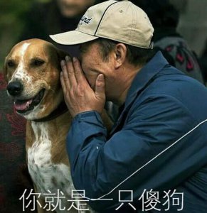 ​你是狗吧是什么梗-狗吧是什么意思