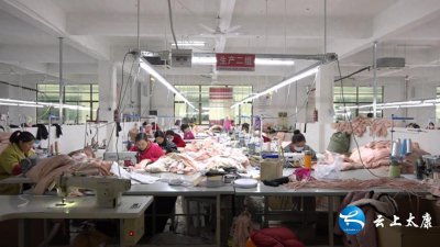 ​河南太康：开足马力忙生产 就业增收好开端