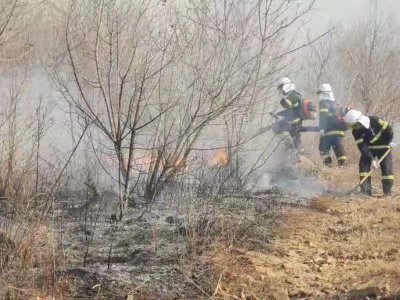 ​纵火嫌疑人未满14周岁！辽阳市宏伟区发生一起森林火灾，过火面积约130亩