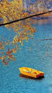 ​标题：探秘中国顶级武器排行榜：震撼世界的十大王牌！