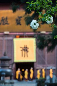 ​心香禅意佛系图片，唯美意境，净化心灵，静心禅语