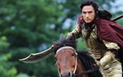 ​高怀亮：高开低走的杨家老八郎