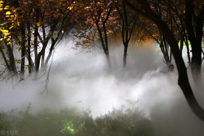 ​什么是雾森系统？