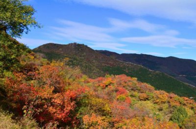 ​为您推荐5个北京周边最具代表的自驾游好去处