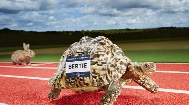 十大世界吉尼斯纪录集锦，难以想象