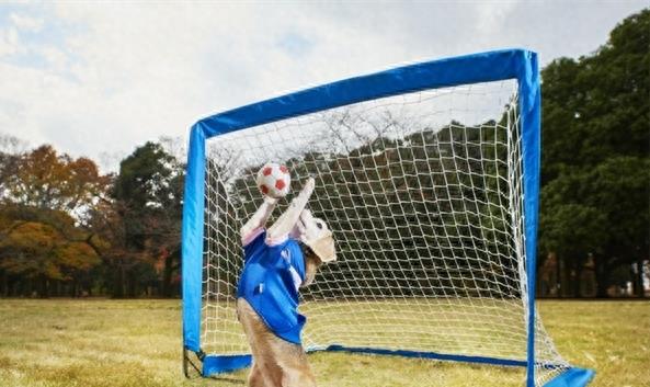 十大世界吉尼斯纪录集锦，难以想象