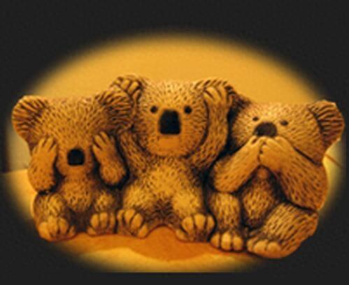 无尾熊到底是不是熊，你真的清楚吗