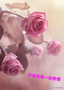 ​不辜负每一份热情，不讨好每一份冷漠