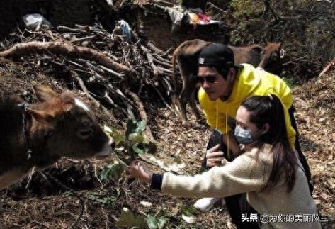 向佐郭碧婷同游尼泊尔 网友称郭碧婷太有爱了还亲吻了牛牛