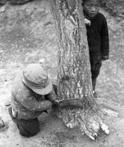 ​那是我小时候