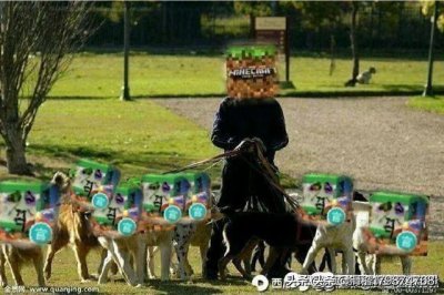 ​我的世界和迷你世界异同点