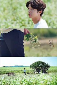 ​《鬼怪》文艺高清壁纸足以美翻全场 不管你是否看过 足以收藏