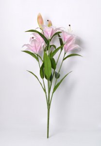 ​百合花有什么寓意