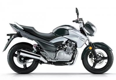 ​机车党进，豪爵铃木250价格分别是多少？看看你是否买贵了