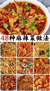 ​48种麻辣口味菜的做法及配料，麻辣家常菜食谱菜单的做法教程大全