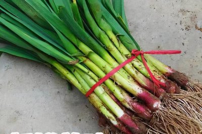 ​用蒜苗做出来的几道家常菜，鲜嫩美味又下饭，天天吃都不觉得腻