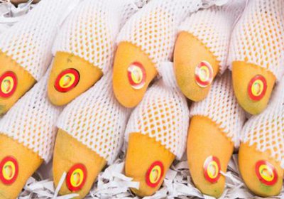 ​一个芒果的热量是多少 热量并不是很高