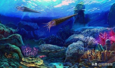 ​史前生物图鉴48-角石动物