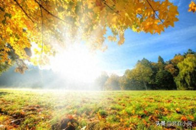 ​人的一生最大的财富是什么