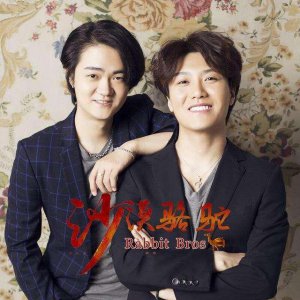 ​展展与罗罗经典成名曲鉴赏