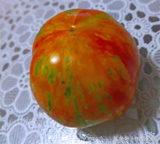 这些番茄五颜六色，是不是转基因品种？