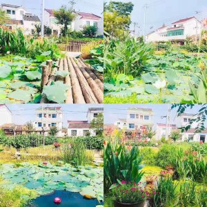 ​溧阳旧县，一个有意境的地方