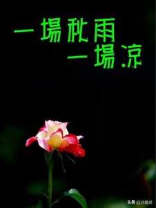 ​股市早8点丨中国股票又到了“抓把盐腌起来”的时候