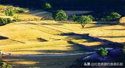 ​钓鱼顺口溜，50个爆护金句！必收藏