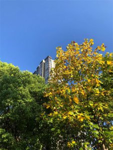 ​也说“男人没有一个好东西”