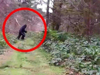 ​神农架深处：为什么会被列为禁区？有一个神秘现象，至今难以解释