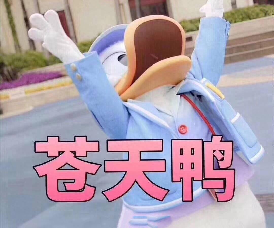 无水印表情包唐老鸭合集 今天不想加油鸭~