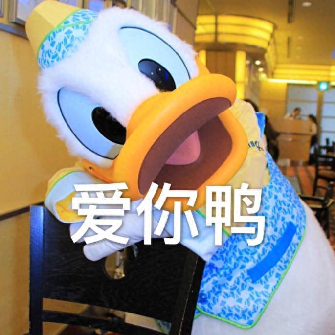无水印表情包唐老鸭合集 今天不想加油鸭~